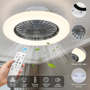 Ceiling Fan with Light My Store