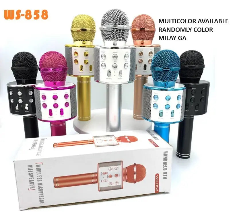 Wireless Mic for kids My Store