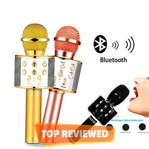 Wireless Mic for kids My Store