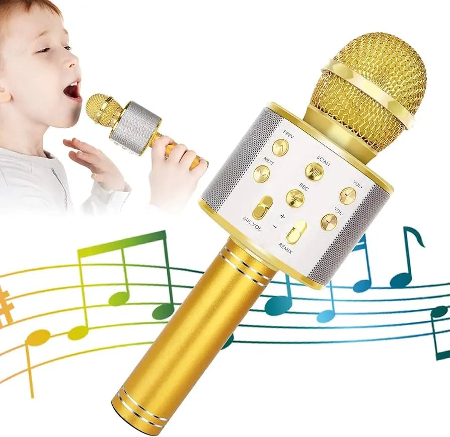 Wireless Mic for kids My Store