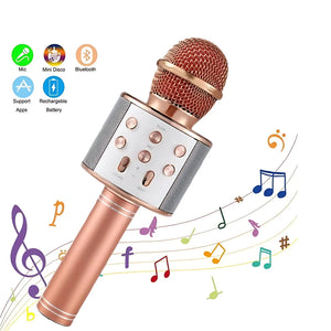 Wireless Mic for kids My Store