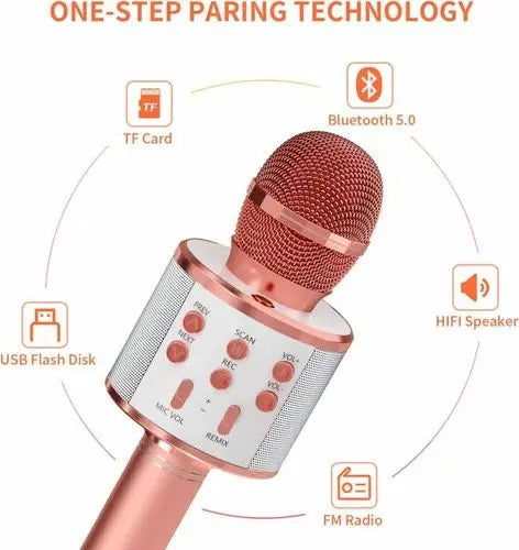 Wireless Mic for kids My Store